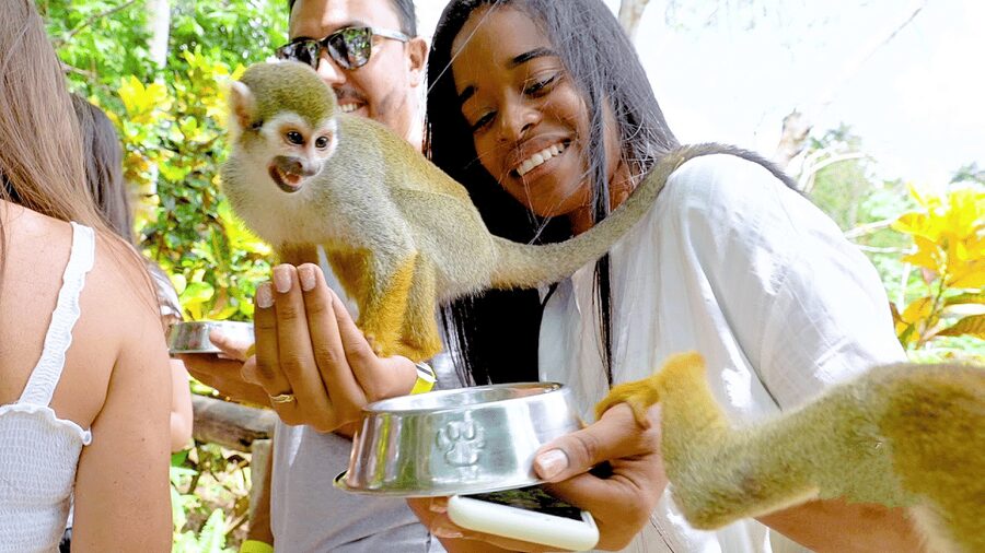 Monkey Encounter + ATV Riding Adventure – Puerto Plata - Riding ATVs through sugarcane and mountain country