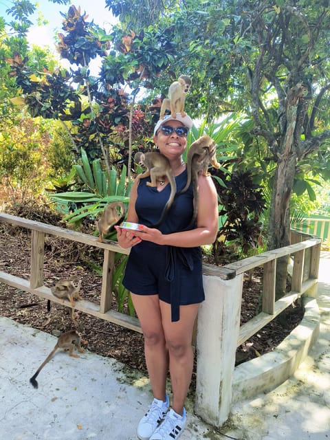 Monkey Encounter + ATV Riding Adventure – Puerto Plata - How the private format changes the experience