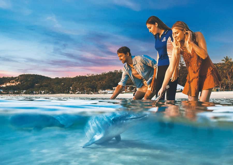 Moreton Island: Tangalooma ATV Quad Bike & Dolphin Feeding - From Brisbane to Moreton Island by fast boat