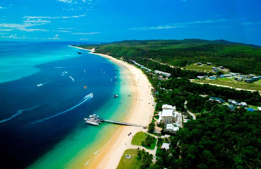 Moreton Island: Tangalooma ATV Quad Bike & Dolphin Feeding - What the $172 price really covers