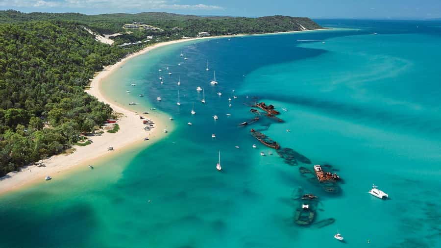 Moreton Island: Tangalooma Day Trip with ATV Quad Bike Tour - What the $119 price really buys you