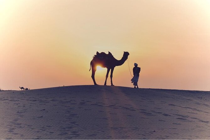 Morning Desert Safari, 25 Minutes ATV with 20 minutes Camel Ride - A short camel ride with a clear purpose