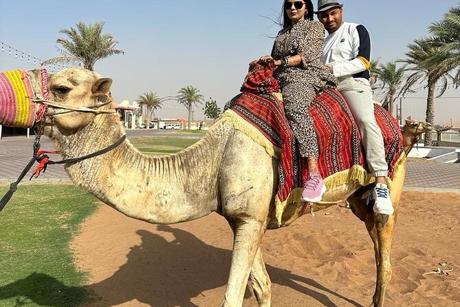 Morning Desert Safari, 25 Minutes ATV with 20 minutes Camel Ride - Sandboarding and the photography stop