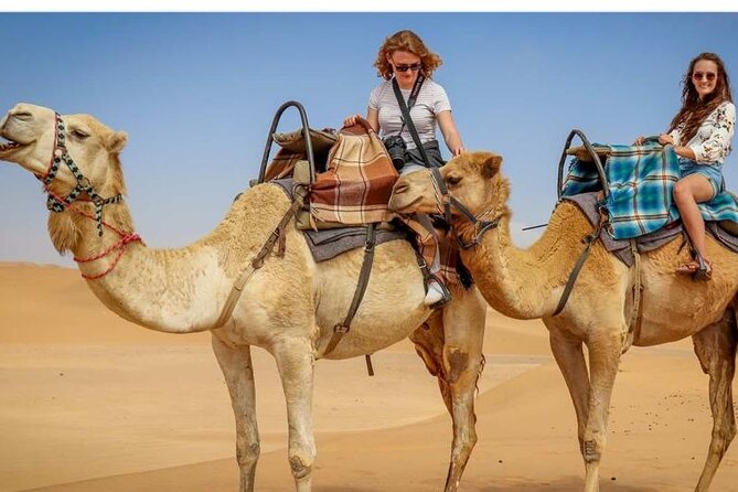 Morning Desert Safari, 25 Minutes ATV with 20 minutes Camel Ride - What the $60 price really buys