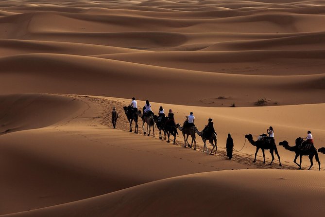 Morning Desert Safari with Dune Bashing and Sand Boarding - Key points before you book