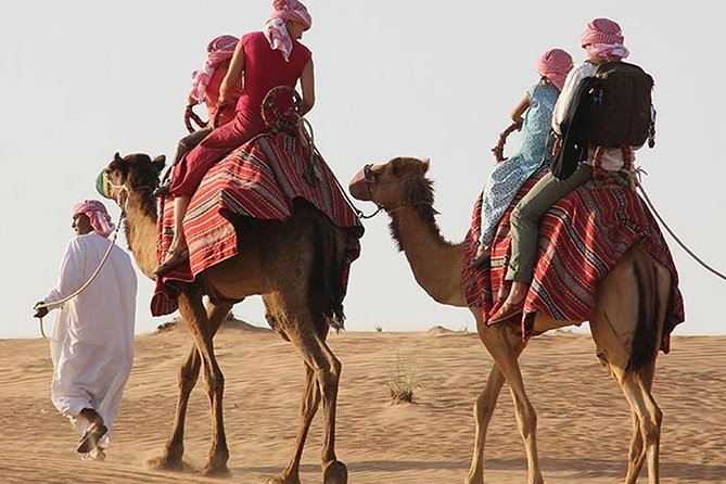 Morning Desert Safari with Quad Bike, Camel Ride & Sandboarding - Group size, seating, and comfort