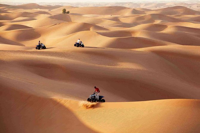 Morning Desert Safari with Quad Bike Tour Abu Dhabi - Sandboarding and skiing add variety