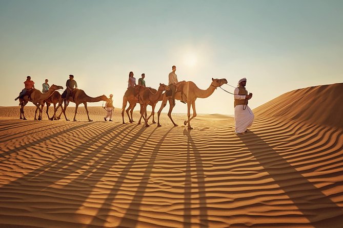 Morning Desert Safari with Quad Bike Tour Abu Dhabi - What $101.60 buys you