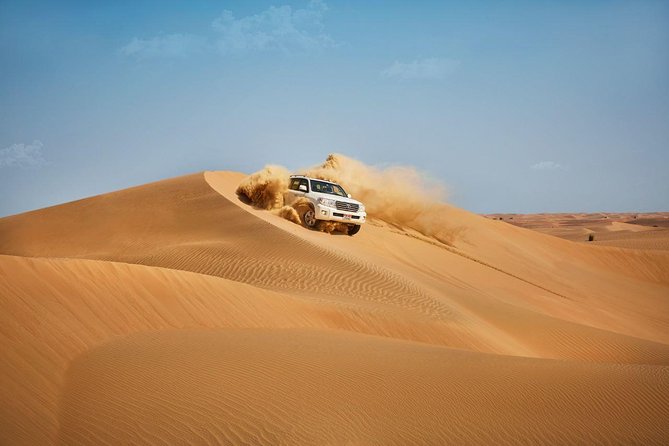 Morning Desert Safari with Quad Bike Tour Abu Dhabi - The camel farm gives the morning some character