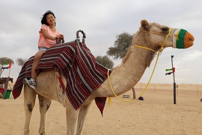 Morning Dubai desert safari - camel rides, quad bikes, dune buggies,dune bashing - Dune bashing on the Dubai sand
