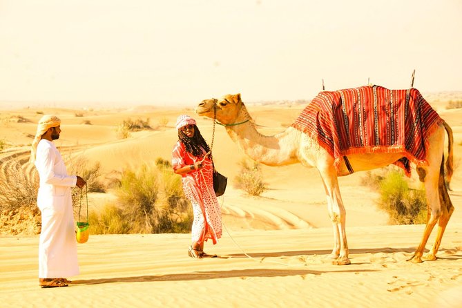 Morning Red Dunes Desert by Quad Bike, Dune Bashing, Camel Ride & Sandboarding - The Camel Ride and the Quieter Side of the Desert