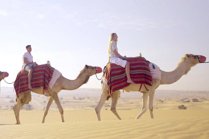 Morning Red Dunes Desert by Quad Bike, Dune Bashing, Camel Ride & Sandboarding - What the $70 Price Really Buys