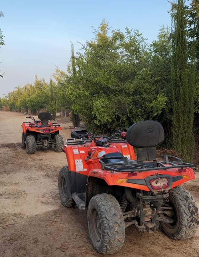 Nairobi: ATV/Quad Bike Wildlife Safari with Transfers & meal - Wildlife viewing from a lower, closer position