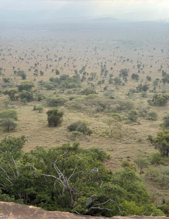 Nairobi: ATV/Quad Bike Wildlife Safari with Transfers & meal - Lunch by the pool or in the garden