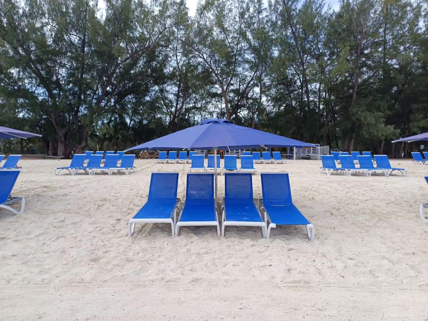 Nassau: Guided Scooter/ATV Rental or Tour w/Beach Day Bundle - Choosing between a scooter and an ATV
