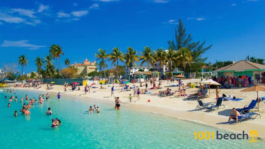 Nassau: Self Drive Speed Boat & Guided ATV Tour + Free Lunch - Lunch: included, but confirm the arrangement