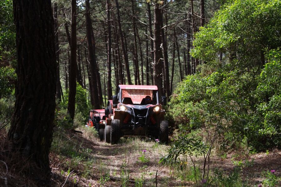 Nazaré: 4x4 Buggy Tour with Guide - Who should book this ride?
