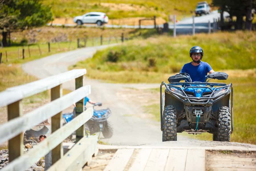 Nelson: Guided Quad Biking Tour Through Forest and Farmland - What the Cable Bay setting adds