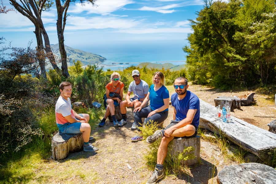 Nelson: Guided Quad Biking Tour Through Forest and Farmland - The views, the mud, and the weather