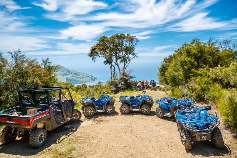Nelson: Guided Quad Biking Tour Through Forest and Farmland - Guides make the ride more than a vehicle rental