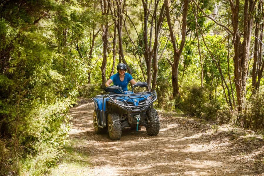 Nelson: Guided Quad Biking Tour Through Forest and Farmland - Is NZ$80 good value?
