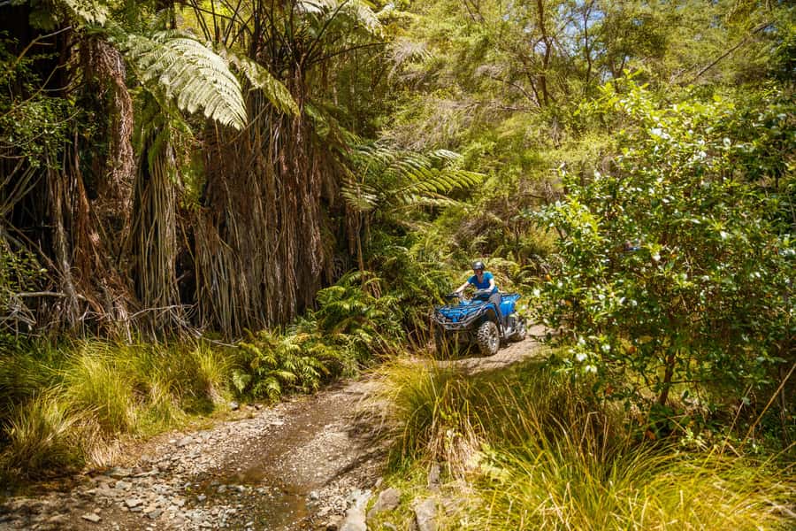 Nelson: Guided Quad Biking Tour Through Forest and Farmland - Who should book this Cable Bay ride?