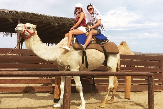 NEW! Combo Camel Beach Ride and UTV 4X4 Cabo Adventure, Tequila & - Key things to know before you book