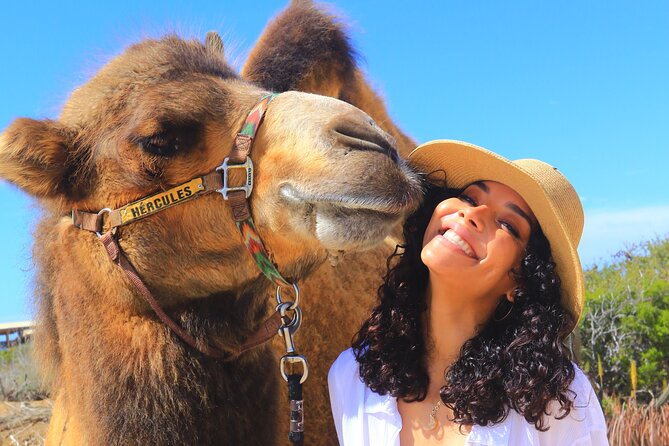 NEW! Combo Camel Beach Ride and UTV 4X4 Cabo Adventure, Tequila & - Choosing between an ATV and side-by-side UTV