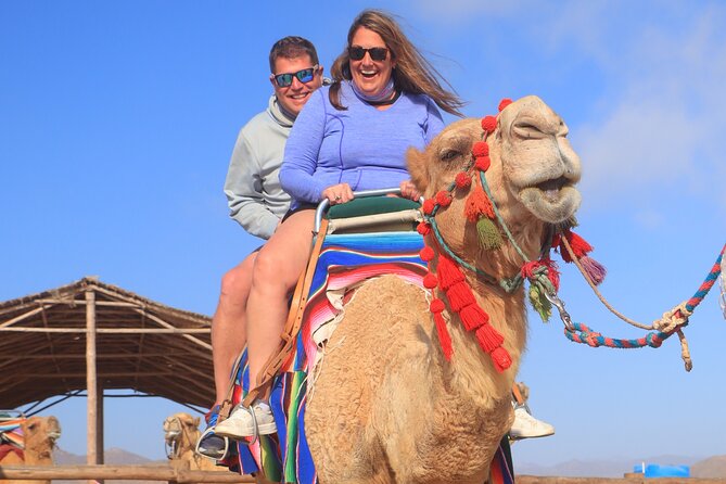 NEW! Combo Camel Beach Ride and UTV 4X4 Cabo Adventure, Tequila & - The best views come from the rough sections