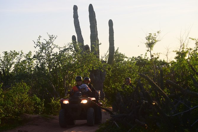 New!!! Extreme Beach & Desert Off-Road Atv Experience… - Beach Views And Desert Stops