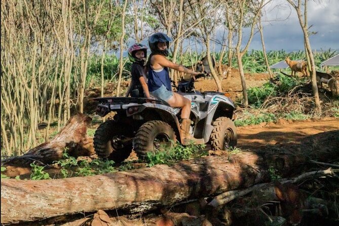 Oahu Beachfront ATV Adventure and Farm Tour - Planting native shoreline species
