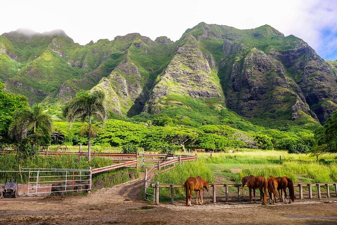 Oahu: Kualoa Ranch UTV Raptor Tour - Check-in sets the tone for the whole morning or afternoon
