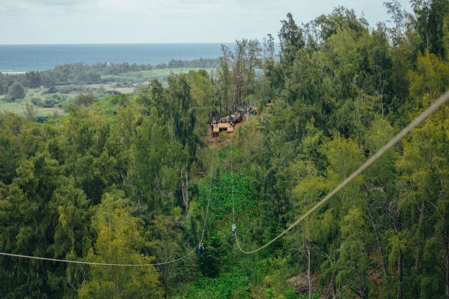 Oahu: North Shore Zip Line Adventure with ATV and Farm Tour - Rappels, sky bridges, and the floating staircase