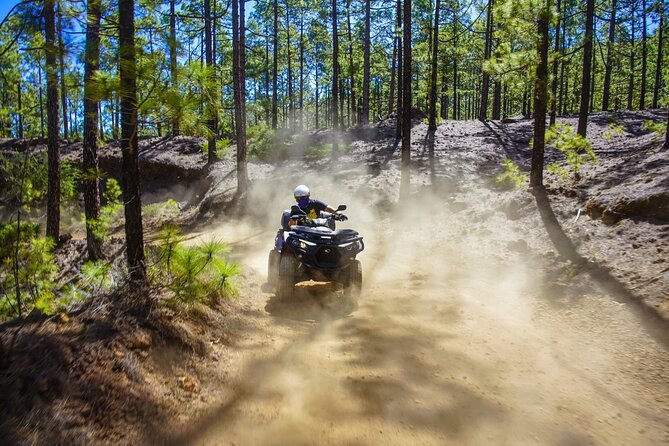 Off-Road Quad Tour from Woodlands to Volcanic Heights - Key points to know before you book