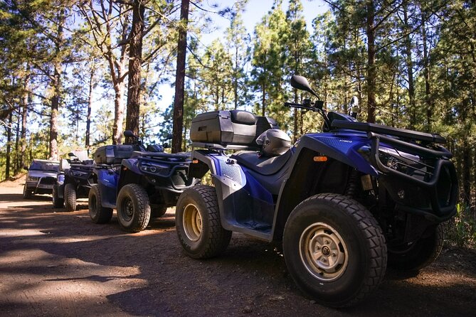 Off-Road Quad Tour from Woodlands to Volcanic Heights - Reaching Teide National Park