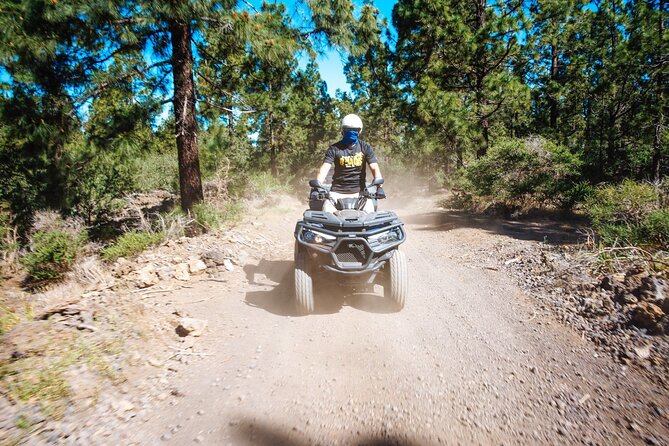 Off-Road Quad Tour from Woodlands to Volcanic Heights - Value, inclusions, and what is missing