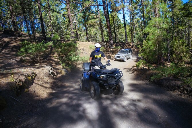Off-Road Quad Tour from Woodlands to Volcanic Heights - Forest air, mountain roads, and volcanic views