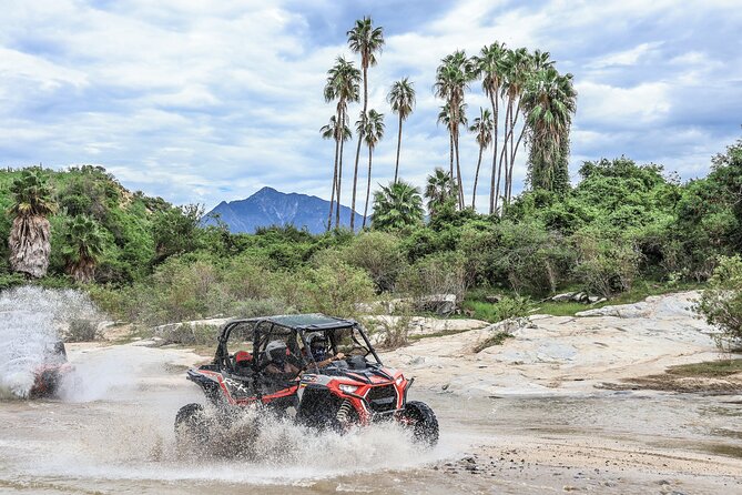 OffRoad 4X4 UTV Adventure with unlimited Lunch & Tequila - Key points to know before booking