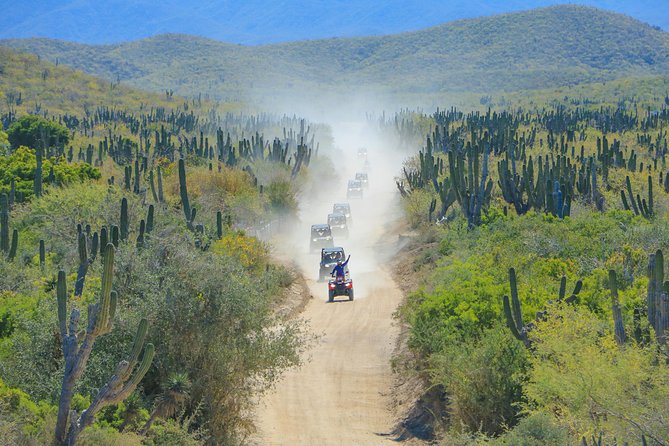 OffRoad 4X4 UTV Adventure with unlimited Lunch & Tequila - From San José del Cabo to Tierra Sagrada