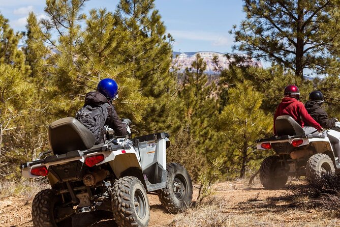 One Hour Guided ATV Ride in Utah - Guide quality can make or break the hour