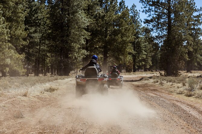 One Hour Guided ATV Ride in Utah - Wildlife and local details along the trail