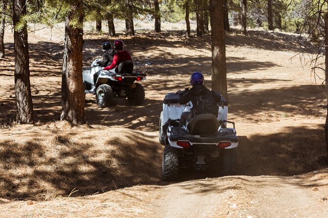 One Hour Guided ATV Ride in Utah - Is $90 a fair price?