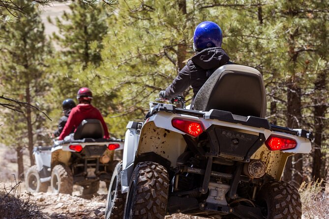 One Hour Guided ATV Ride in Utah - Who should choose this ATV ride?