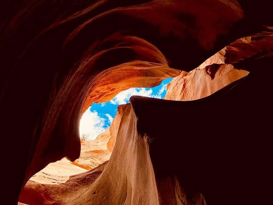 Orderville: East Zion Slot Canyons Award-Winning UTV Tour - Why this East Zion UTV tour is worth considering