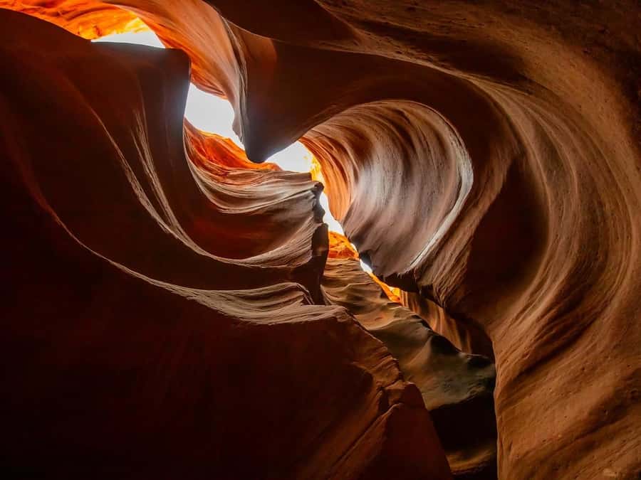 Orderville: East Zion Slot Canyons Award-Winning UTV Tour - Meeting at the ROAM storefront near Highway 89