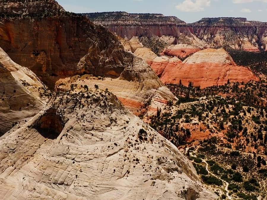 Orderville: East Zion Slot Canyons Award-Winning UTV Tour - Who should book this ride?