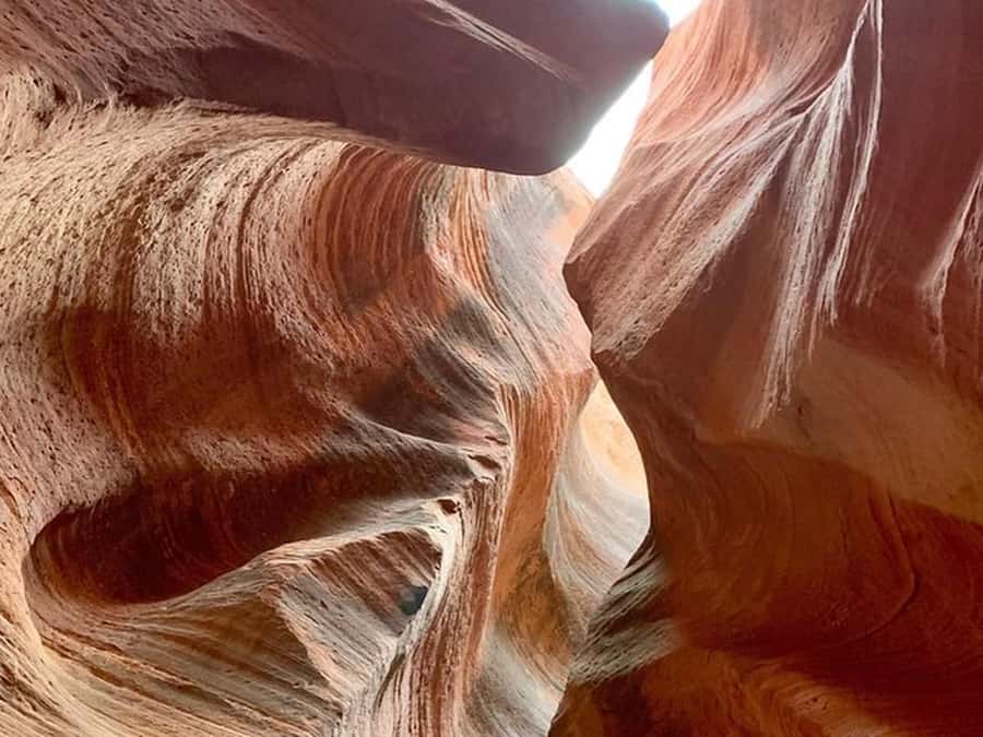 Orderville: East Zion Slot Canyons Award-Winning UTV Tour - Should you book the East Zion Red Cave tour?