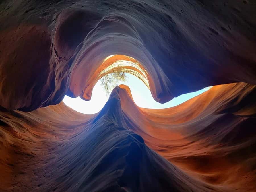 Orderville: East Zion Slot Canyons Award-Winning UTV Tour - The Can-Am ride through rugged East Zion