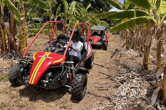 Orlando Dune Buggy Tour - Is $89.99 a fair price?