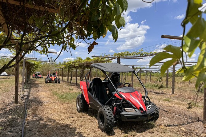 Orlando: Dune Buggy Tour - What the three-hour schedule really includes